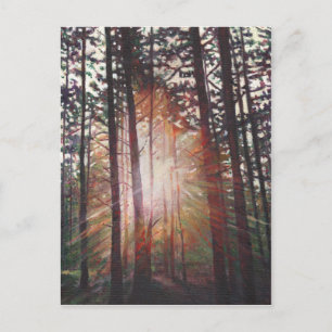 Sunburst 2010 postcard