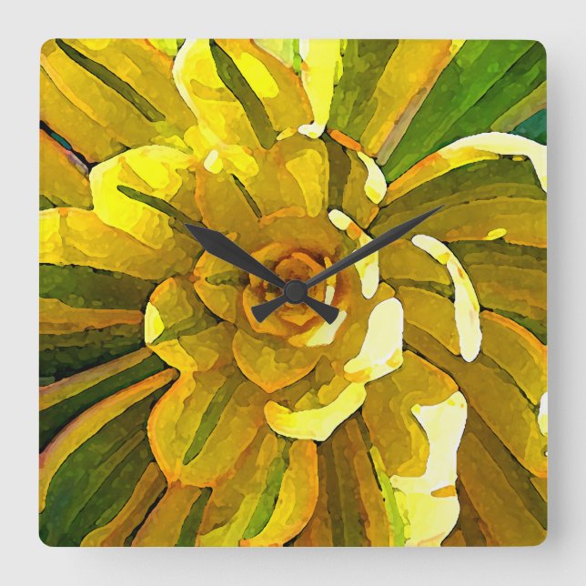 Sunburst Aeonium Succulent Square by Amy Vangsgard Wall Clock (Front)