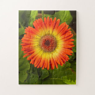 Sunburst Gerbera Alzheimer’s Tribute Jigsaw Puzzle