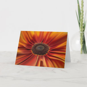 Sunburst Holiday Card