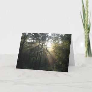 Sunburst in the Trees All Occasion Card (Blank)