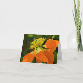 Sunburst Poppy Notecard