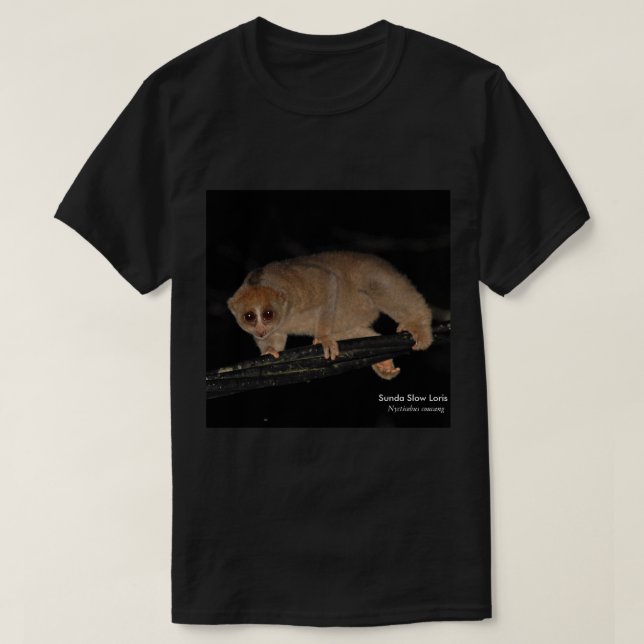 Sunda Slow Loris T-shirt (Design Front)