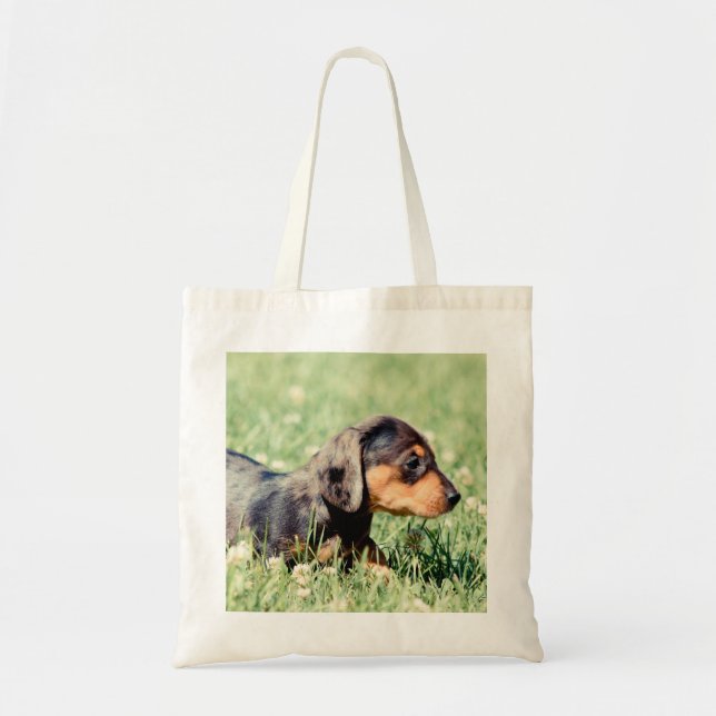 Sundae-Lovebug Doxies Keepsake Tote Bag (Front)