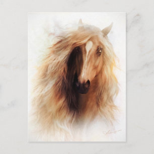 Sundance Mustang Portrait Postcard