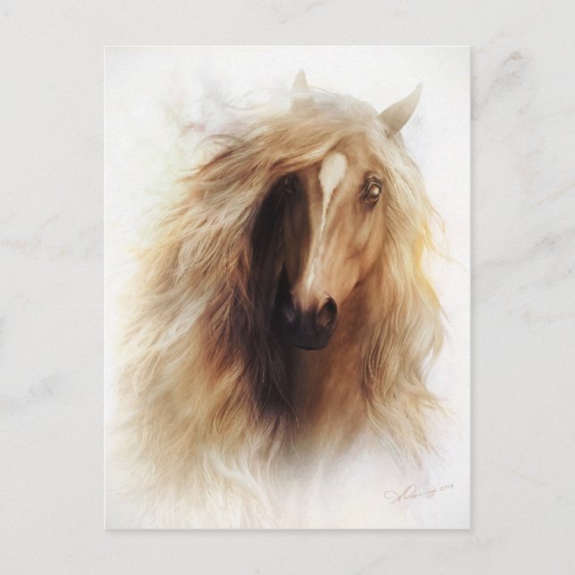 Sundance Mustang Portrait Postcard (Front)