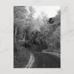 Sundance, Utah Postcard