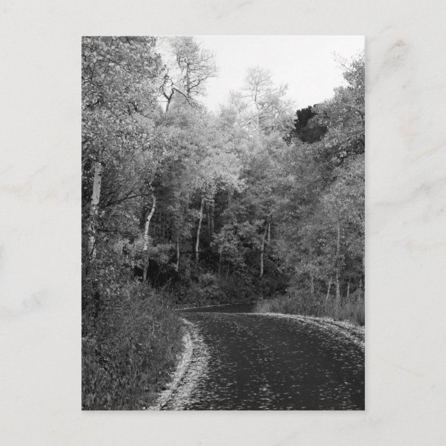 Sundance, Utah Postcard (Front)