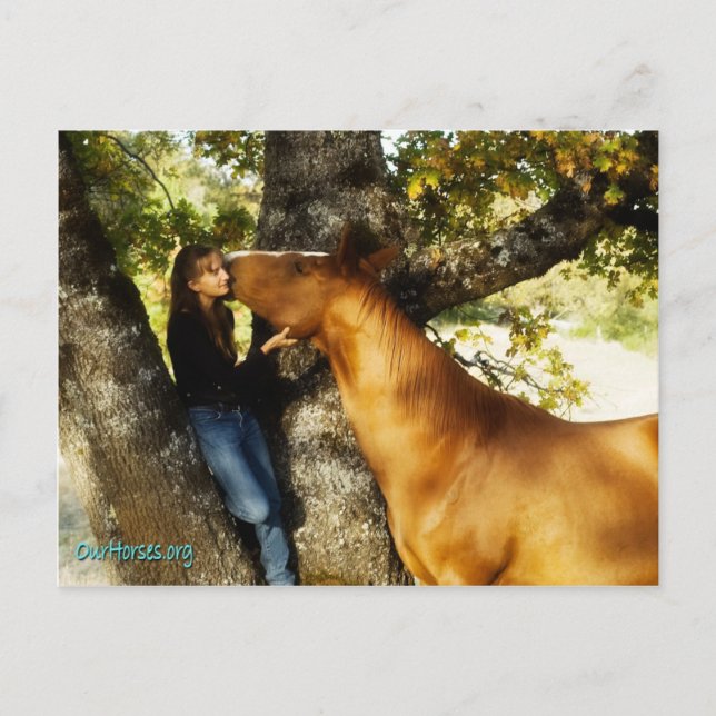 Sundance whisper postcard (Front)