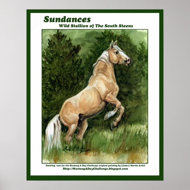 Sundances Wild Stallion of the South Steens Poster (Front)