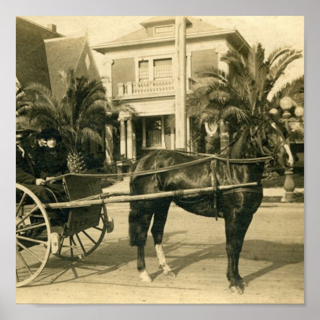 Sunday Best Poster (Front)