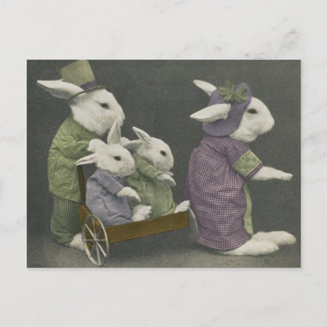 Sunday Bunnies Postcard (Front)