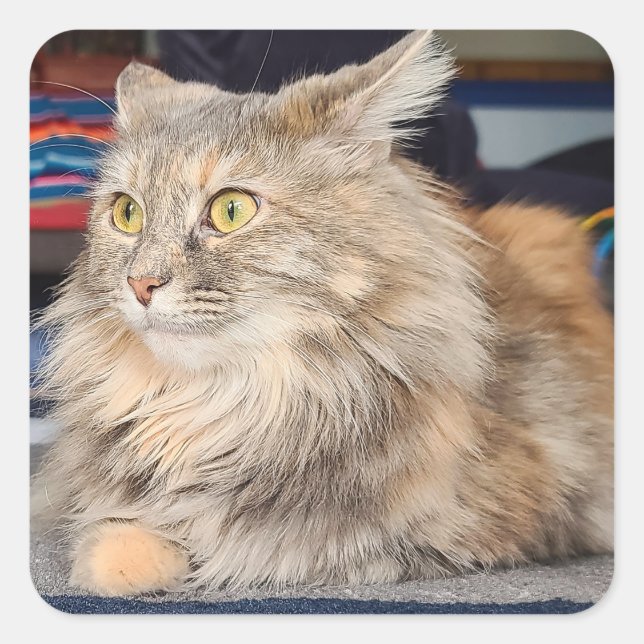 Sunday Mood Square Sticker (Front)