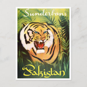 Sunderban National Park Pakistan vintage travel Postcard