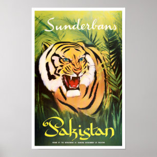 Sunderban National Park Pakistan vintage travel Poster