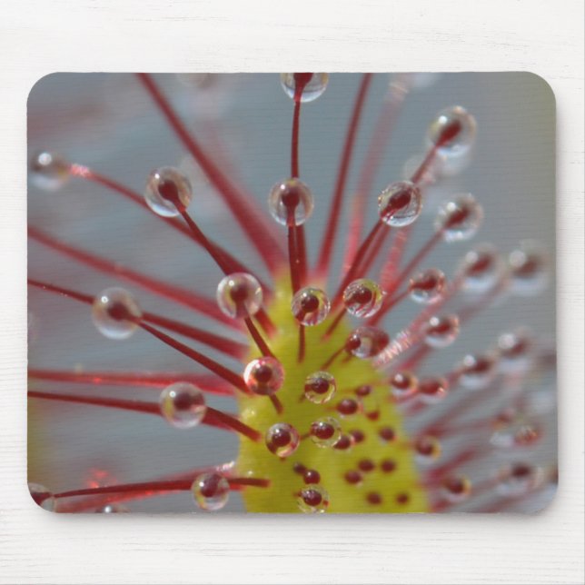 Sundew Carnivorous Plant Mousepad (Front)