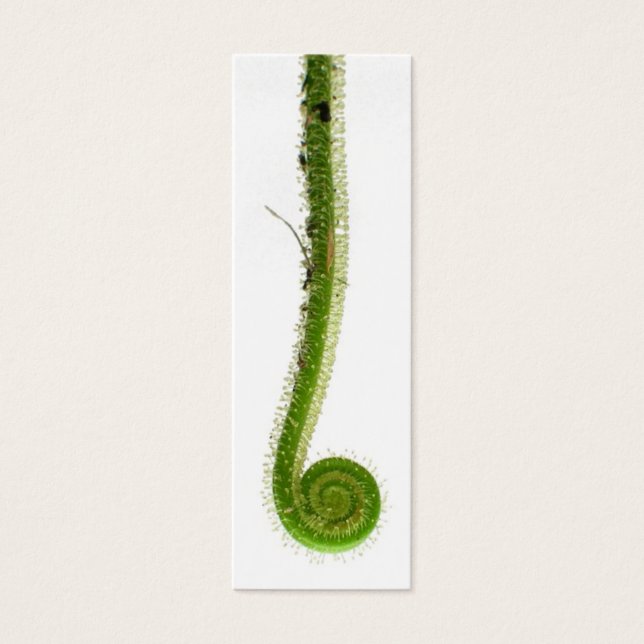 Sundew Frond Bookmark (Front)