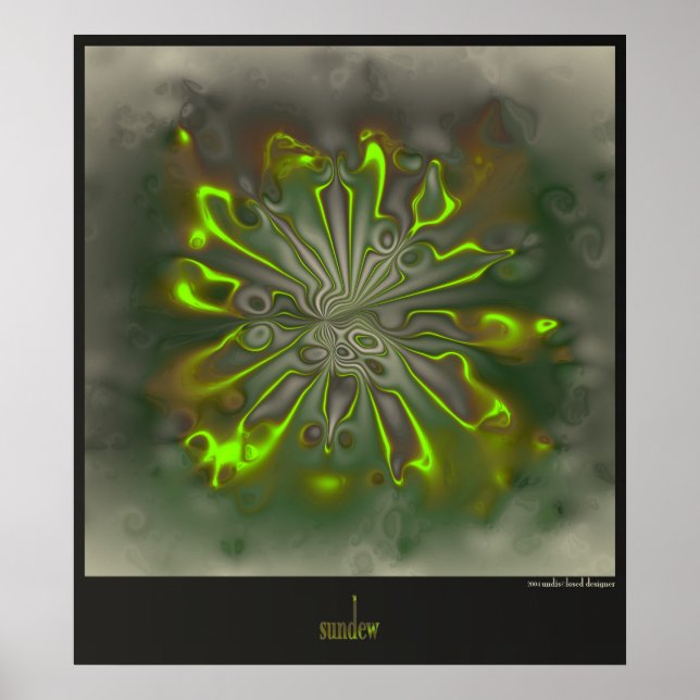 sundew poster (Front)