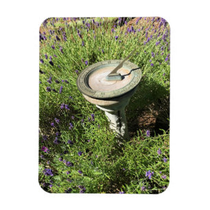 Sundial in Lavender Magnet