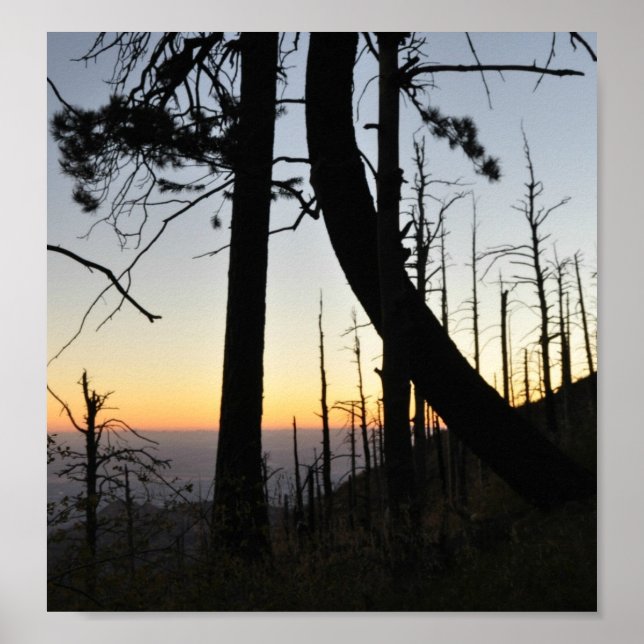 Sundown Silhouette Poster (Front)