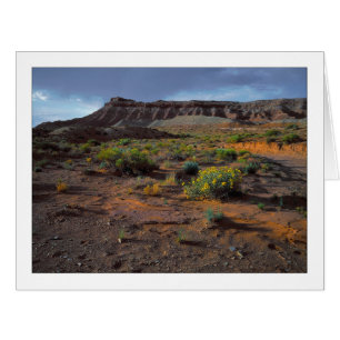 "Sundowner Plateau"