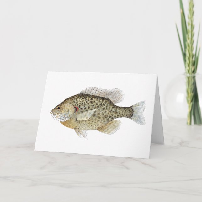 Sunfish Greetings Card (Front)