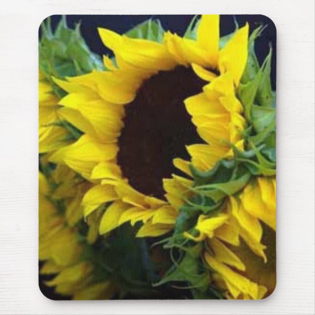 Sunfllower Study by debbieophotography Mouse Pad (Front)