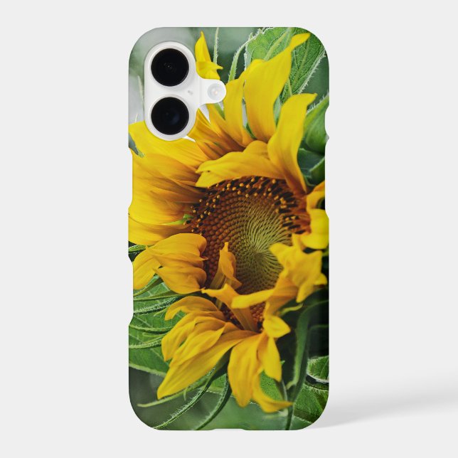 Sunflower (Back)