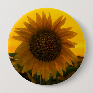 Sunflower 🌻  10 cm round badge