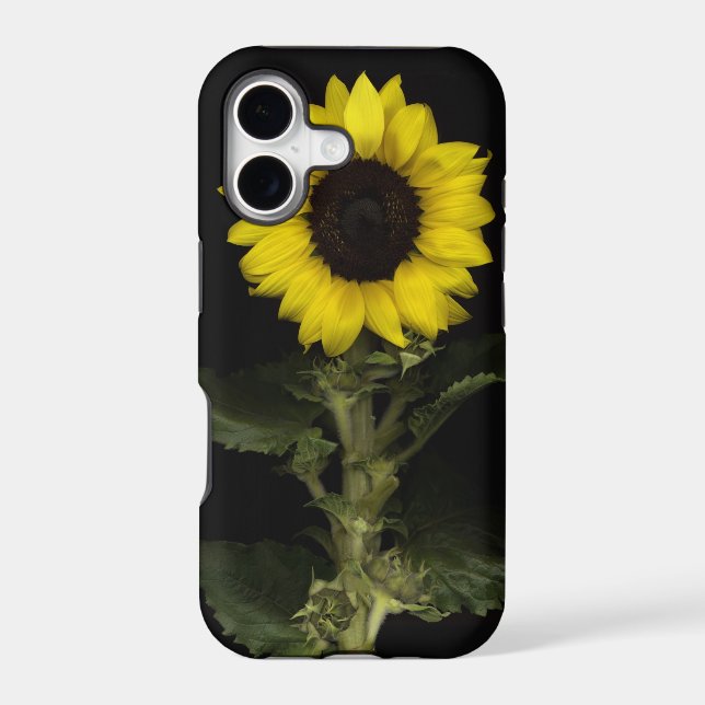 Sunflower 11 (Back)