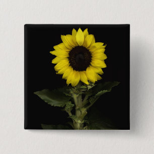 Sunflower 11 15 cm square badge