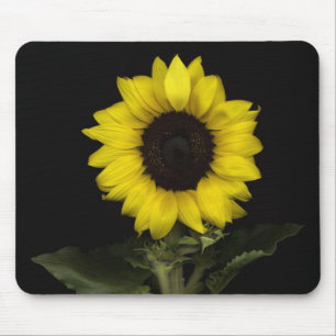 Sunflower 11 mouse pad