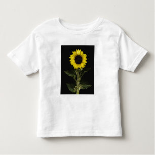 Sunflower 11 toddler T-Shirt