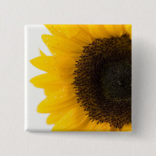sunflower 15 cm square badge