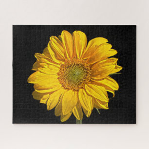 Sunflower 16x20 520pc jpcna jigsaw puzzle