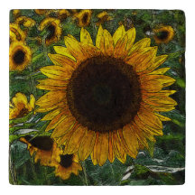 Sunflower_2015_0601