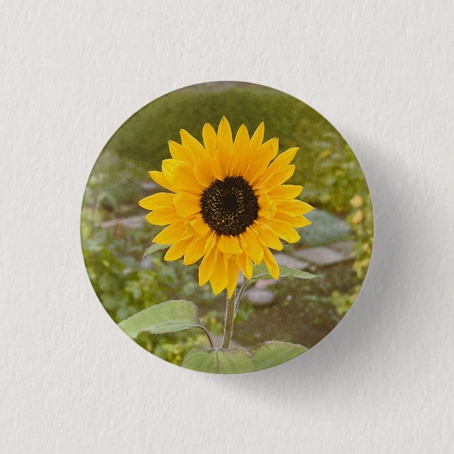 Sunflower  3 cm round badge (Front)