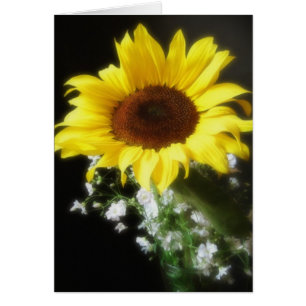 Sunflower 6