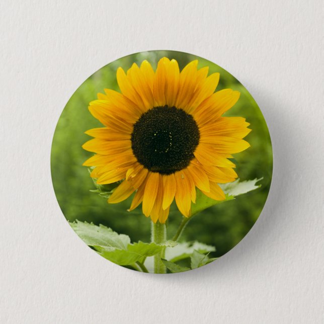 Sunflower 6 Cm Round Badge (Front)