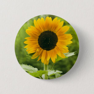 Sunflower 6 Cm Round Badge