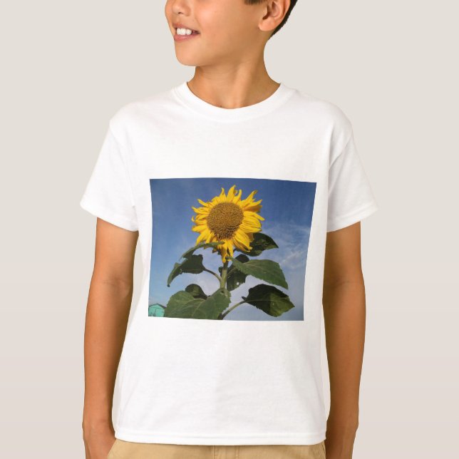 Sunflower against blue sky T-Shirt (Front)
