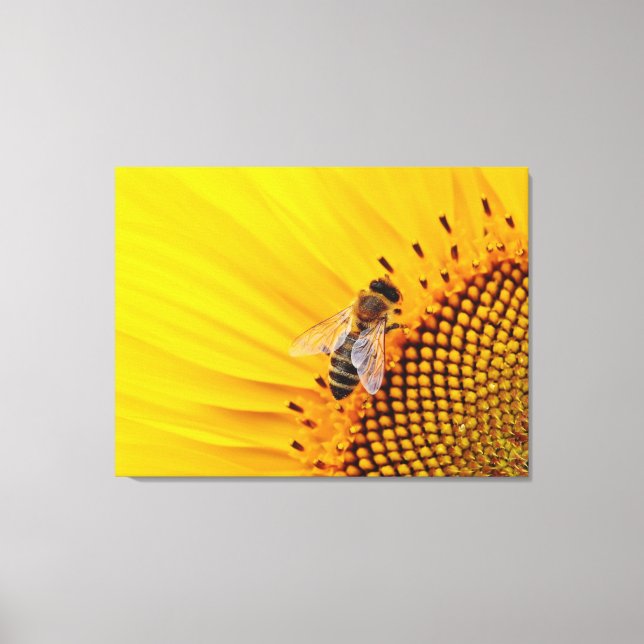 Sunflower and Bee Canvas Print (Front)