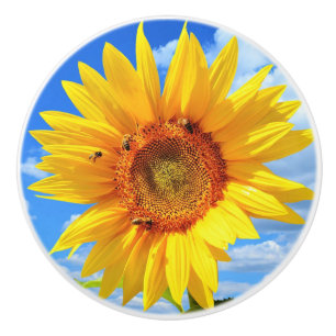 Sunflower and Bees Ceramic Knob
