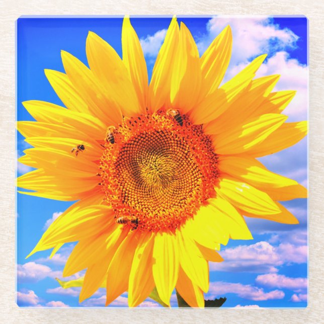 Sunflower and Bees Glass Coaster (Front)