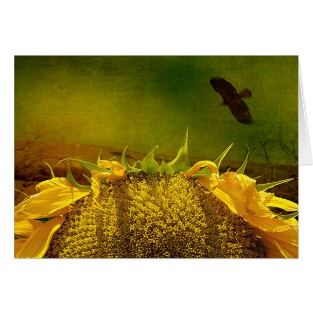 Sunflower and bird (Front Horizontal)