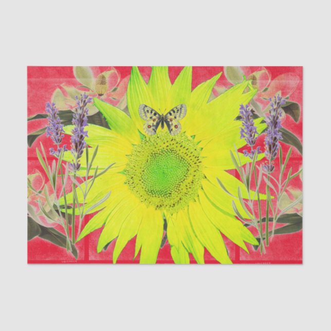 SUNFLOWER AND BUTTERFLIES Tissue Paper (Front)