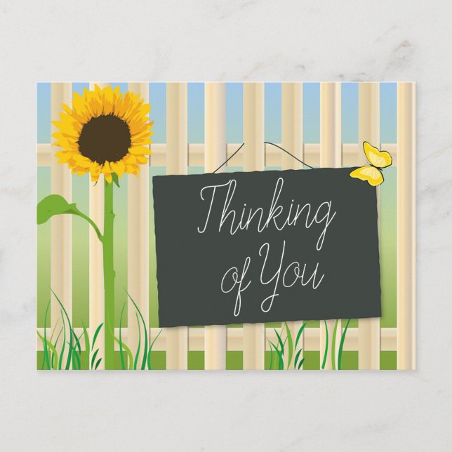 Sunflower and Butterfly Postcard (Front)