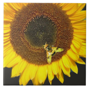 SUNFLOWER AND HONEY BEE ,BEEKEEPING, BEEKEPER CERAMIC TILE