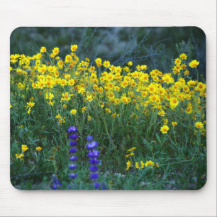 Sunflower and Lavender Mouse Pad