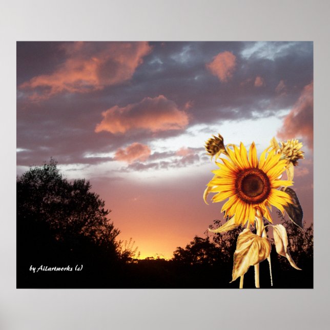 SUNFLOWER AND PINK SUMMER SUNSET POSTER (Front)